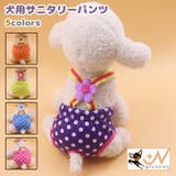 犬用サニタリーパンツ マナーパンツ 生理パンツ | PlusNao | 詳細画像1 