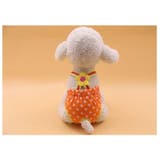 犬用サニタリーパンツ マナーパンツ 生理パンツ | PlusNao | 詳細画像2 