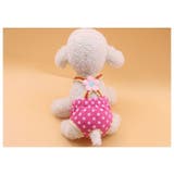 犬用サニタリーパンツ マナーパンツ 生理パンツ | PlusNao | 詳細画像5 