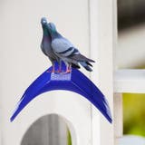 鳩スタンド 止まり木 単品 | PlusNao | 詳細画像3