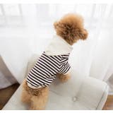 犬服 ドッグウェア パーカー | PlusNao | 詳細画像10 