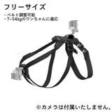 犬用チェストマウントハーネス Gopro用 カメラ固定用ハーネス | PlusNao | 詳細画像13