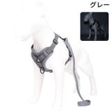 ハーネス リード セット | PlusNao | 詳細画像15 