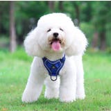 ハーネス リード セット | PlusNao | 詳細画像4 