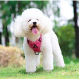 ハーネス リード セット | PlusNao | 詳細画像6 