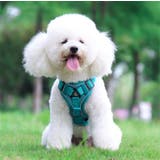 ハーネス リード セット | PlusNao | 詳細画像7 