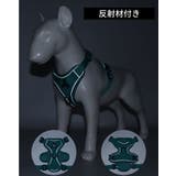 ハーネス リード セット | PlusNao | 詳細画像8 