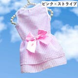 ドッグウェア ペットウェア ワンピース | PlusNao | 詳細画像14 