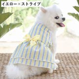 ドッグウェア ペットウェア ワンピース | PlusNao | 詳細画像15 
