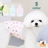 ペットウェア ドッグウェア 犬服 | PlusNao | 詳細画像1