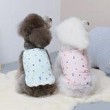 ペットウェア ドッグウェア 犬服 | PlusNao | 詳細画像2