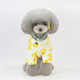 ドッグウェア 犬用 ペットウエア | PlusNao | 詳細画像8
