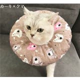 エリザベスカラー 猫用 猫用品 | PlusNao | 詳細画像3