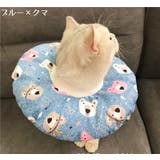 エリザベスカラー 猫用 猫用品 | PlusNao | 詳細画像4