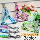 ハーネス リード 2点セット | PlusNao | 詳細画像1 