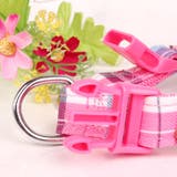 ハーネス リード 2点セット | PlusNao | 詳細画像11 