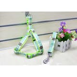 ハーネス リード 2点セット | PlusNao | 詳細画像4 