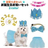 お誕生日お祝いセット ドックウェア 帽子 | PlusNao | 詳細画像1 