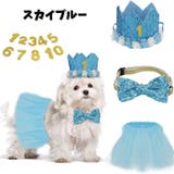 お誕生日お祝いセット ドックウェア 帽子 | PlusNao | 詳細画像7 