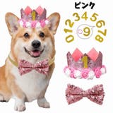 お誕生日お祝いセット ドックウェア 帽子 | PlusNao | 詳細画像8 