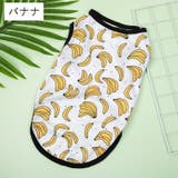 ペットウェア ドッグウェア 犬服 | PlusNao | 詳細画像12