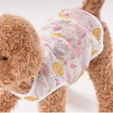 ペットウェア ドッグウェア キャットウェア | PlusNao | 詳細画像11