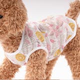 ペットウェア ドッグウェア キャットウェア | PlusNao | 詳細画像12