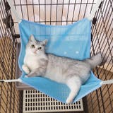 猫用ハンモック 猫用ベッド 猫 | PlusNao | 詳細画像4