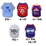 ドッグウェア 犬服 Tシャツ | PlusNao | 詳細画像15