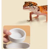小動物用食器 爬虫類用食器 陶器 | PlusNao | 詳細画像5 