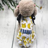 ドッグウェア 犬服 キャミソールワンピース | PlusNao | 詳細画像2