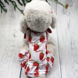 ドッグウェア 犬服 キャミソールワンピース | PlusNao | 詳細画像5