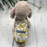 ドッグウェア 犬服 タンクトップ | PlusNao | 詳細画像2 