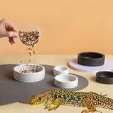 エサ入れ 餌入れ 水入れ | PlusNao | 詳細画像2 