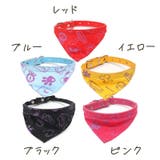 首輪 ペット用品 犬用 | PlusNao | 詳細画像6