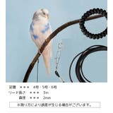 鳥用 足環付きリード 3m | PlusNao | 詳細画像10