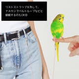 鳥用 足環付きリード 3m | PlusNao | 詳細画像4