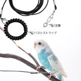 鳥用 足環付きリード 2m | PlusNao | 詳細画像3 