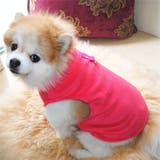 ドッグウェア 犬服 ベスト | PlusNao | 詳細画像3