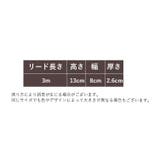 伸縮リード 巻き取り式 3m | PlusNao | 詳細画像13 