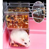 小動物用食器 小動物用エサ入れ 自動給餌器 | PlusNao | 詳細画像6 