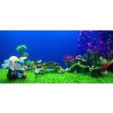 水槽用模型 金魚 熱帯魚 | PlusNao | 詳細画像3 
