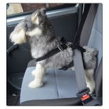 ハーネス ペット用品 車対応 | PlusNao | 詳細画像2 