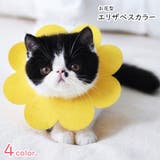 エリザベスカラー 猫 ネコ | PlusNao | 詳細画像1
