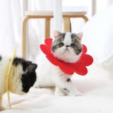 エリザベスカラー 猫 ネコ | PlusNao | 詳細画像3