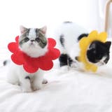 エリザベスカラー 猫 ネコ | PlusNao | 詳細画像4