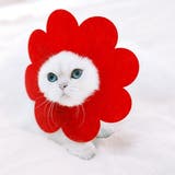 エリザベスカラー 猫 ネコ | PlusNao | 詳細画像5