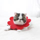 エリザベスカラー 猫 ネコ | PlusNao | 詳細画像6