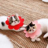 エリザベスカラー 猫 ネコ | PlusNao | 詳細画像7