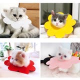 エリザベスカラー 猫 ネコ | PlusNao | 詳細画像9